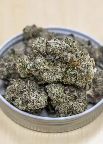 Johnny Utah by Surfr Seeds, Photoperiod cannabis strain