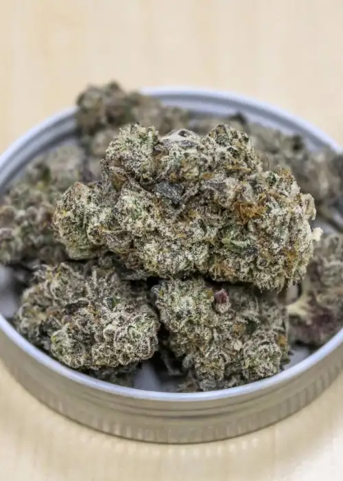 Johnny Utah by Surfr Seeds, Photoperiod cannabis strain