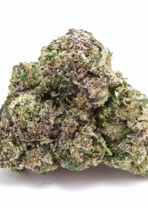Jokerz by Compound Genetics, Photoperiod cannabis strain