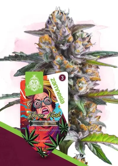 Karen Kush Automatic by Zamnesia Seeds, Autoflower cannabis strain