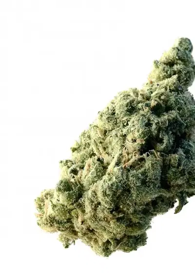 Lemon Ice by Tahoe Nugz cannabis strain