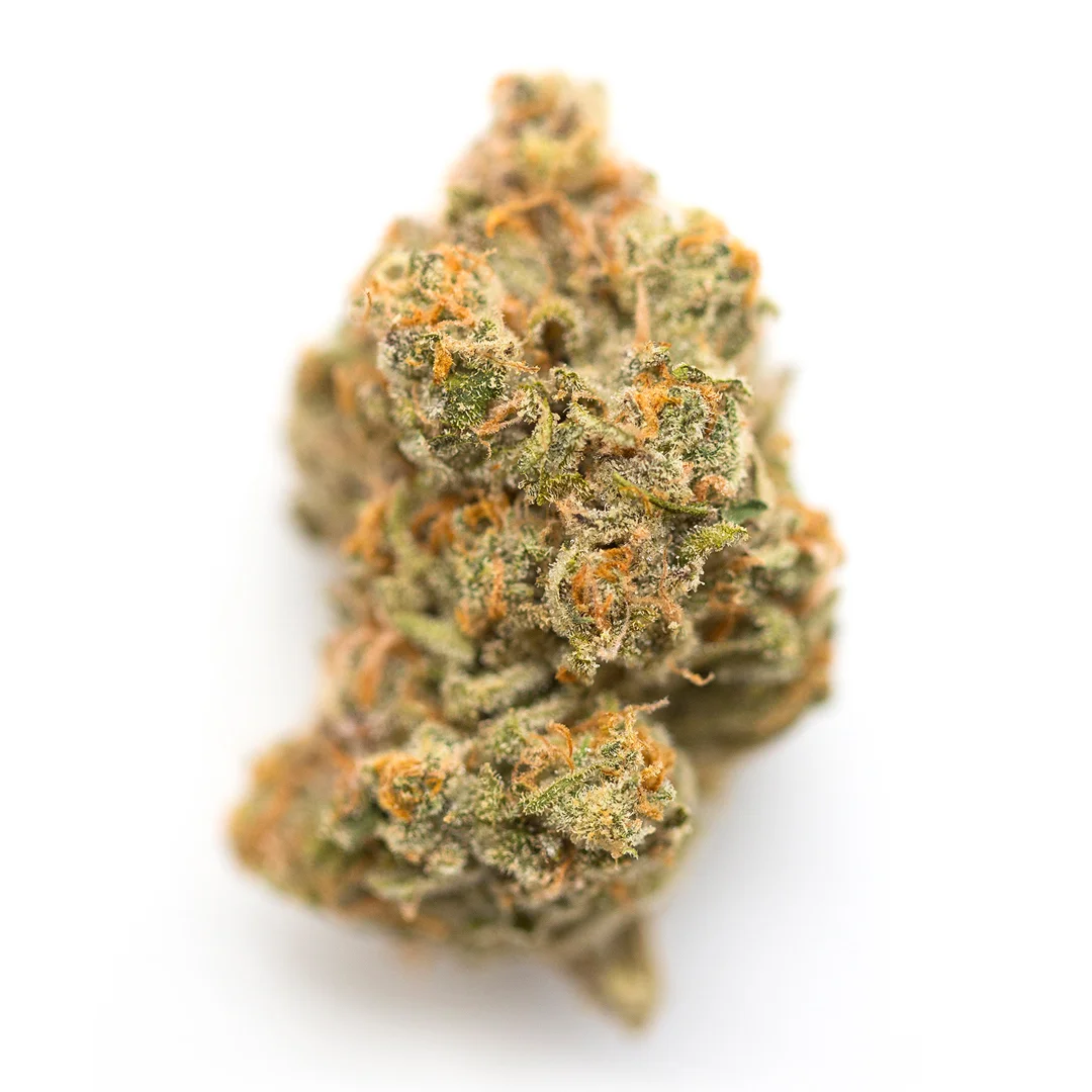Lemonberry by Fusion Seeds, Photoperiod cannabis strain
