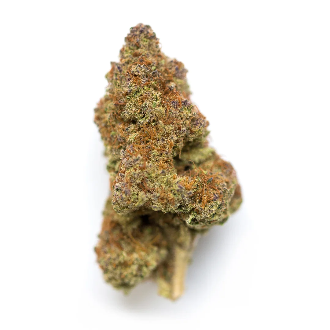 Marilyn Monroe by LIT Farms, Photoperiod cannabis strain