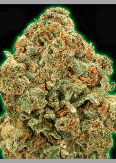 Moby by Monster Genetics, Photoperiod cannabis strain