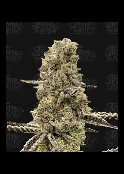 Mochi Mints by Terp Treez Co., Photoperiod cannabis strain