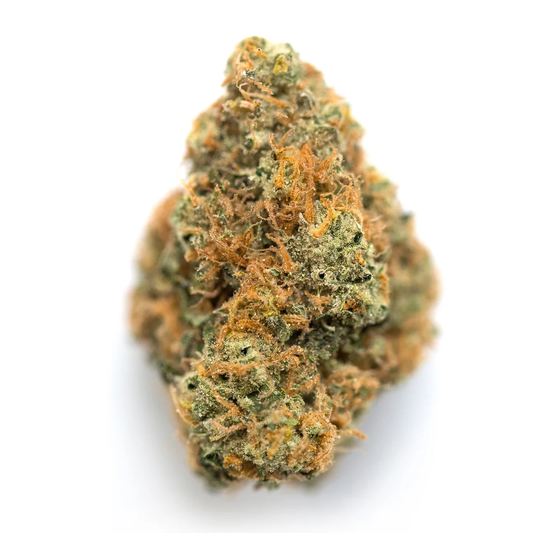 Ocean View by Leafs By Snoop, Photoperiod cannabis strain