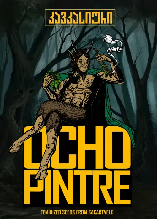 Ocho Fem by Caucasian Seeds, Photoperiod cannabis strain