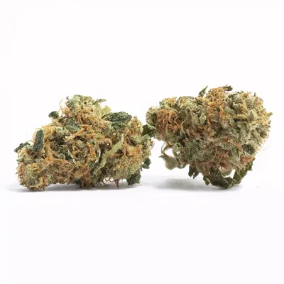 Off White Cake by Aficionado Seed Collection cannabis strain