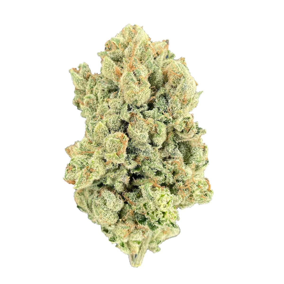 Orange Tree by Greenline, Photoperiod cannabis strain
