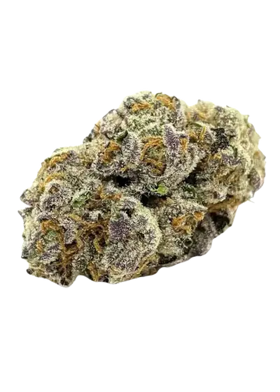 Oreoz feminized by Seeds Genetics Co., Photoperiod cannabis strain