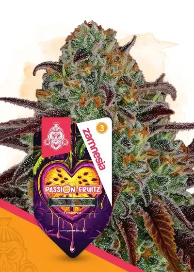 Passion Fruitz by Zamnesia Seeds, Photoperiod cannabis strain