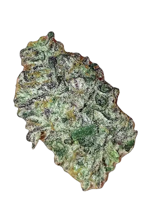 Pineapple Passion Zmoothie by Terphogz, Photoperiod cannabis strain