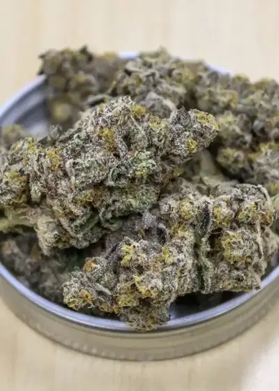Pitted Cherry by Surfr Seeds, Photoperiod cannabis strain