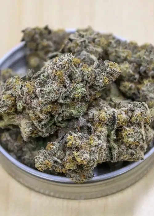 Pitted Cherry by Surfr Seeds, Photoperiod cannabis strain