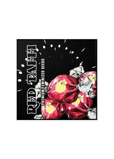 Red Taffi by Doja Seeds, Photoperiod cannabis strain