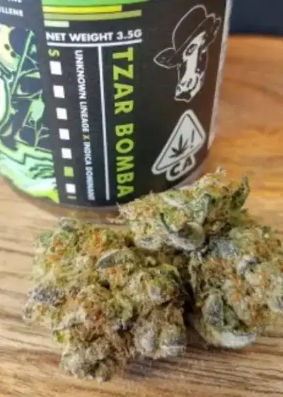 Russian Tzar Bomba Auto by NukeHeads, Autoflower cannabis strain
