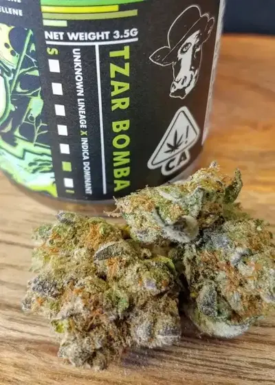 Russian TZAR Bomba by NukeHeads, Photoperiod cannabis strain
