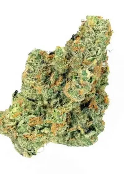 Sch' Lemon Cake by Big Buddha Seeds, Photoperiod cannabis strain