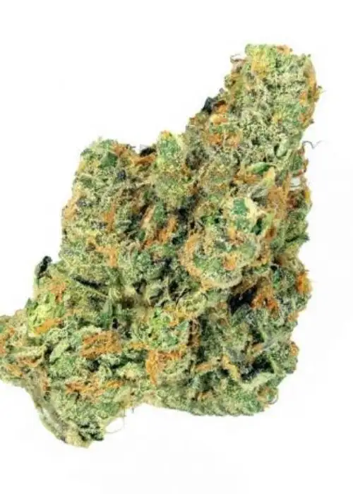 Sch' Lemon Cake by Big Buddha Seeds, Photoperiod cannabis strain