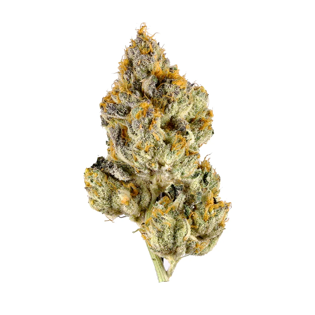 Secret Weapon by Vandal Genetics, Photoperiod cannabis strain