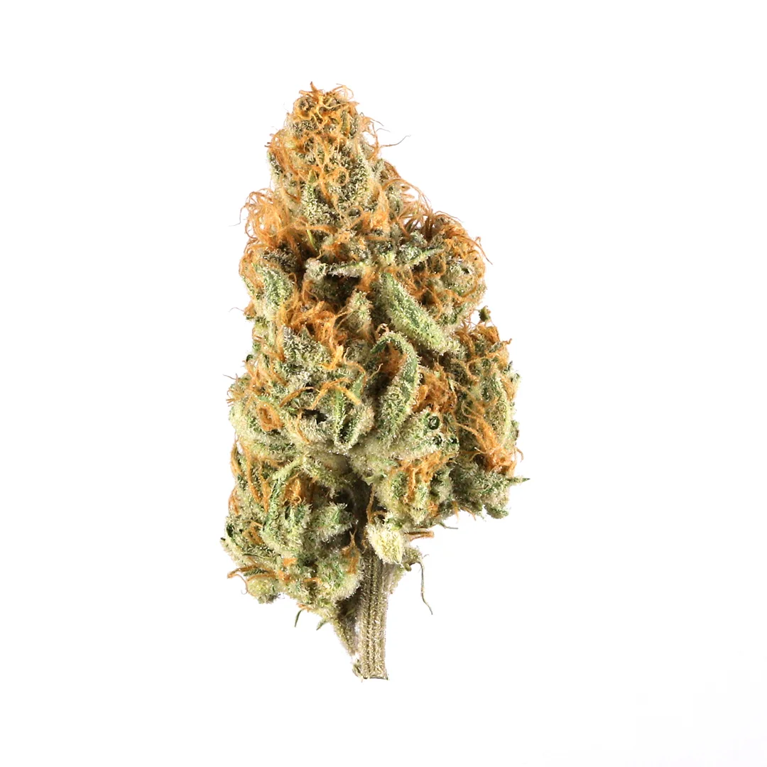 Silverhawks OG by Kre8 Genetics (formerly Greenlife Seeds), Photoperiod cannabis strain