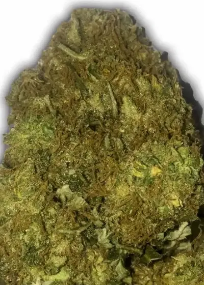 Skunky Monkey Auto by Heavyweight Seeds, Autoflower cannabis strain