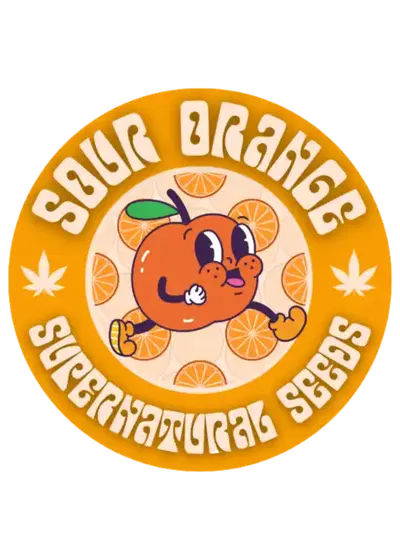 Sour Orange by Super Natural Seeds, Photoperiod cannabis strain