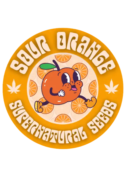 Sour Orange by Super Natural Seeds, Photoperiod cannabis strain