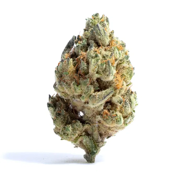 Space Oddity by THC Design, Photoperiod cannabis strain