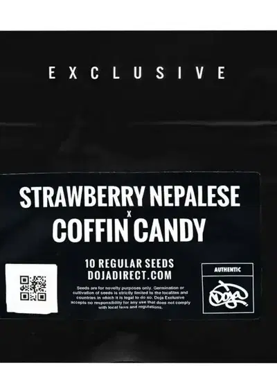 Strawberry Nepalese x Coffin Candy by Doja Seeds, Photoperiod cannabis strain