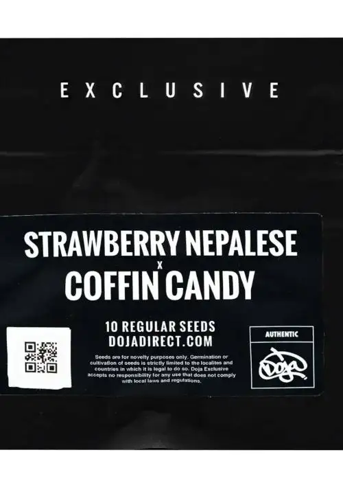 Strawberry Nepalese x Coffin Candy by Doja Seeds, Photoperiod cannabis strain