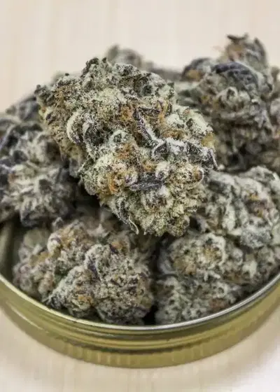 Terpee Slurpee by Surfr Seeds, Photoperiod cannabis strain