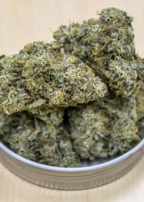 Texas Longhorn by Surfr Seeds, Photoperiod cannabis strain