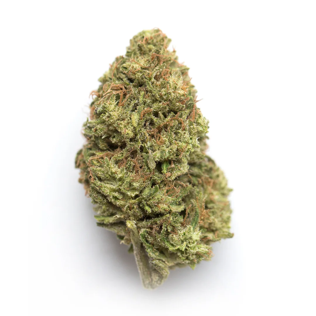Thank You Jerry by Mycotek Seed Company, Photoperiod cannabis strain