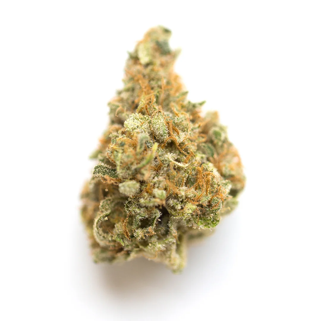 The One by Clackamas Coots, Photoperiod cannabis strain
