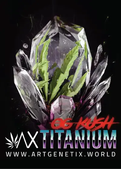 Titanium OG KUSH by Art Genetix, Photoperiod cannabis strain