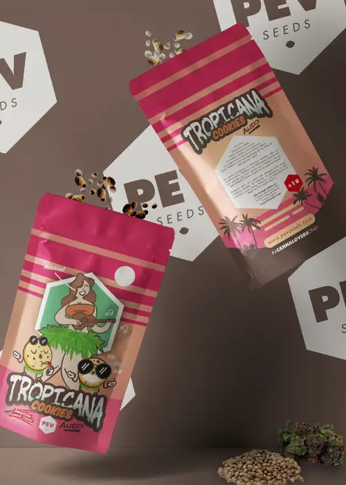 Tropicana Cookies Autoflowering by Pev Seeds, Autoflower cannabis strain