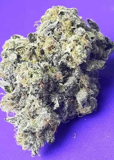Ugly Unicorn by Jinxproof Genetics, Photoperiod cannabis strain