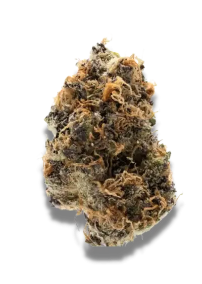 Watermelon Punch by Party Time Farms cannabis strain