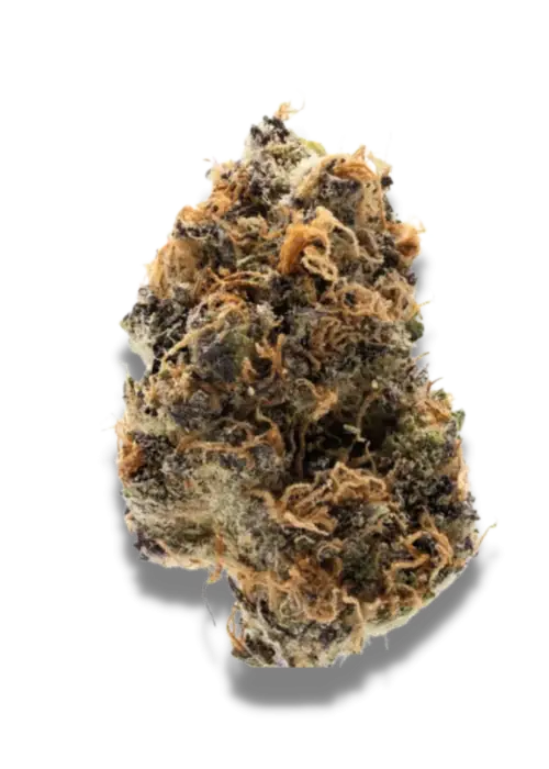 Watermelon Punch by Party Time Farms cannabis strain