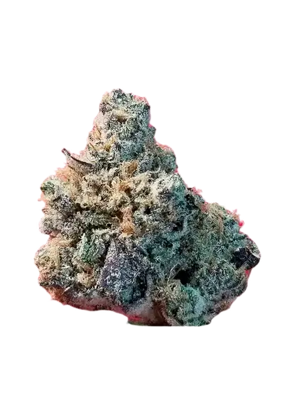 Watermelon Zum Zum by UKHTA Genetics, Photoperiod cannabis strain