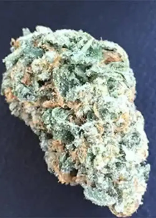 Wedding Cake Feminized by Niagara Seed Bank, Photoperiod cannabis strain