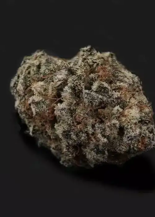 White Truffles by GB Strains, Photoperiod cannabis strain