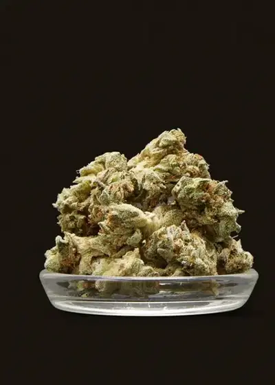 Wifi Mints by Jungle Boys, Photoperiod cannabis strain