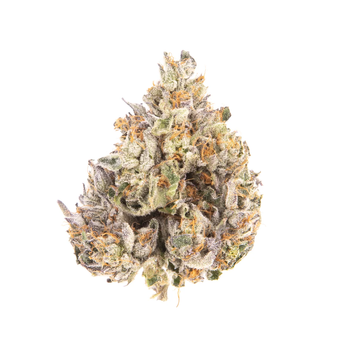 Yellow Roses by Fountainhead Seeds, Photoperiod cannabis strain