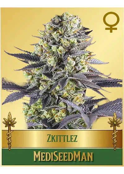 Zkitlez by Mediseed Man, Photoperiod cannabis strain