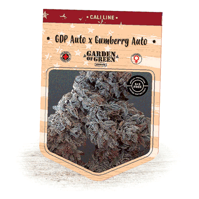 GDP Auto X Gumberry Auto by Garden of Green, Autoflower cannabis strain
