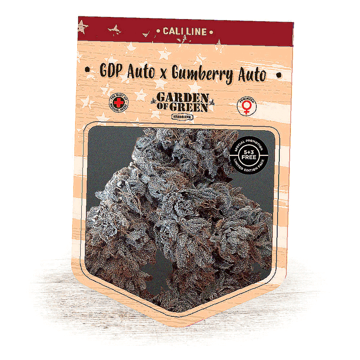 GDP Auto X Gumberry Auto by Garden of Green, Autoflower cannabis strain