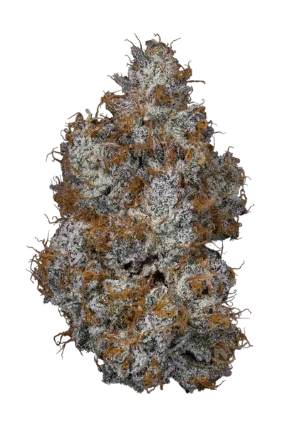 Georgios by Cannachamp cannabis strain