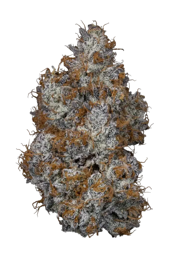 Georgios by Cannachamp cannabis strain